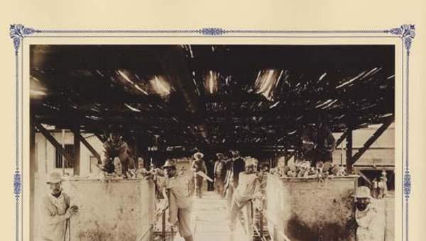 Trabajo en una salitrera Trabajo en una salitrera