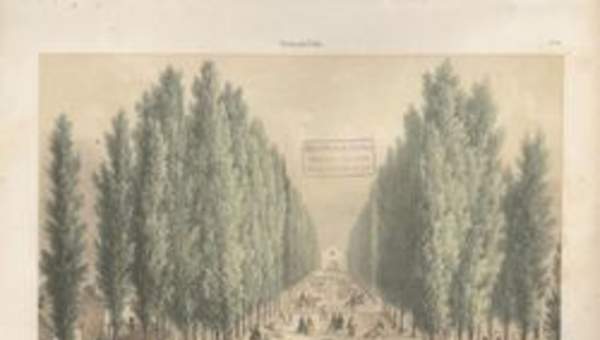 Paseo de la Cañada (actual Alameda) Paseo de la Cañada (actual Alameda)