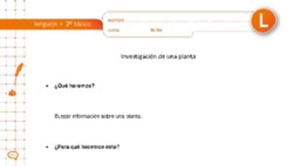 Investigación de una planta Investigación de una planta