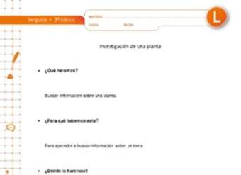 Investigación de una planta Investigación de una planta
