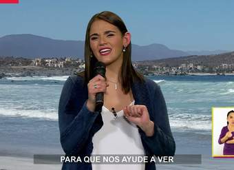 AprendoTV 2021 - 1° y 2° - Capítulo 52: Los delfines AprendoTV 2021 - 1° y 2° - Capítulo 52: Los delfines