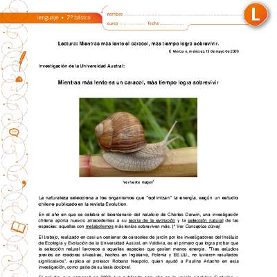 Mientras más lento es el caracol, más tiempo logra sobrevivir Mientras más lento es el caracol, más tiempo logra sobrevivir