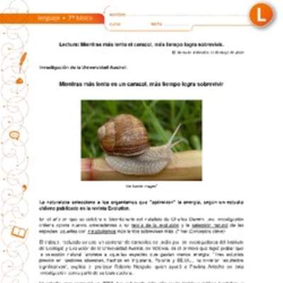 Mientras más lento es el caracol, más tiempo logra sobrevivir Mientras más lento es el caracol, más tiempo logra sobrevivir