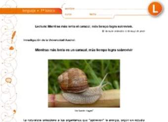 Mientras más lento es el caracol, más tiempo logra sobrevivir Mientras más lento es el caracol, más tiempo logra sobrevivir