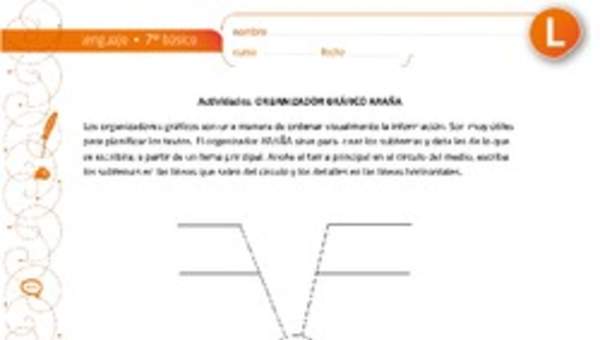 Organizador gráfico araña Organizador gráfico araña