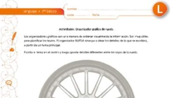 Organizador gráfico rueda Organizador gráfico rueda