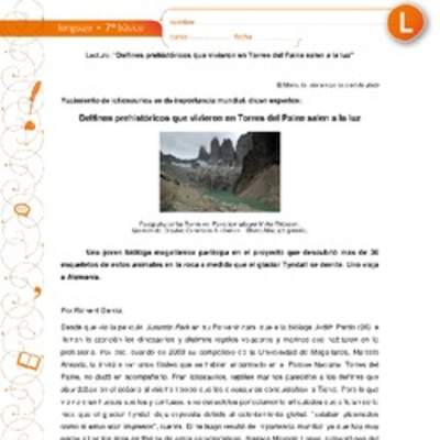 Delfines prehistóricos que vivieron en Torres del Paine salen a la luz Delfines prehistóricos que vivieron en Torres del Paine salen a la luz