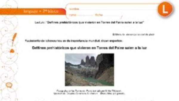 Delfines prehistóricos que vivieron en Torres del Paine salen a la luz Delfines prehistóricos que vivieron en Torres del Paine salen a la luz