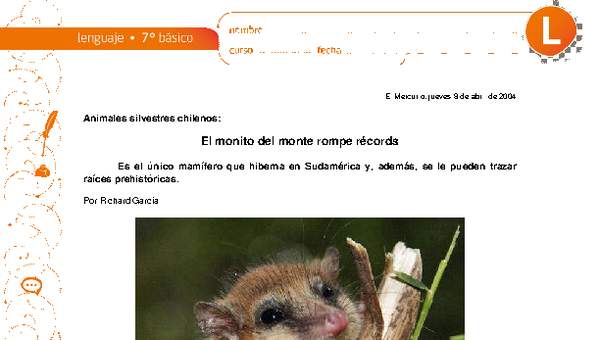 El monito del monte rompe récords El monito del monte rompe récords