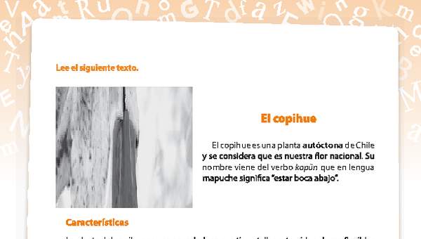 Investigación planta Investigación planta