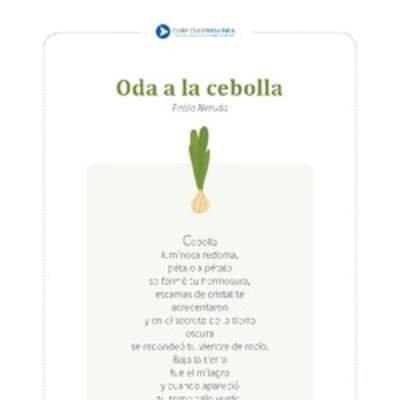 Oda a la cebolla Oda a la cebolla