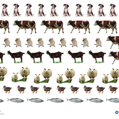 Imagen de animales (II) Imagen de animales (II)