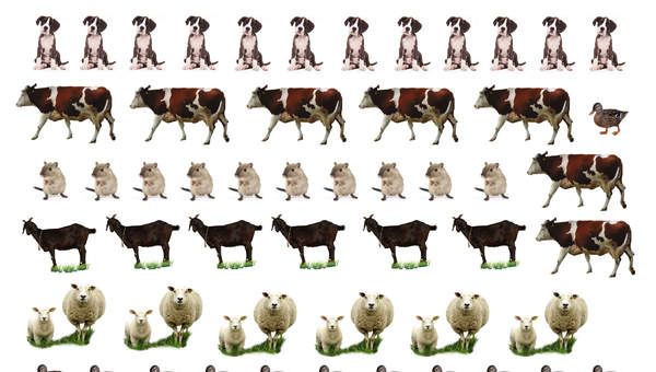 Imagen de animales (II) Imagen de animales (II)