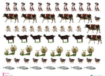 Imagen de animales (II) Imagen de animales (II)