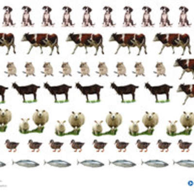 Imagen de animales (II) Imagen de animales (II)