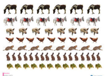 Imagen de animales (I) Imagen de animales (I)