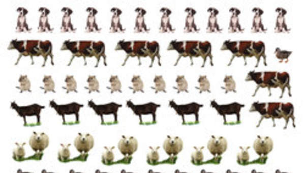 Imagen de animales (II) Imagen de animales (II)