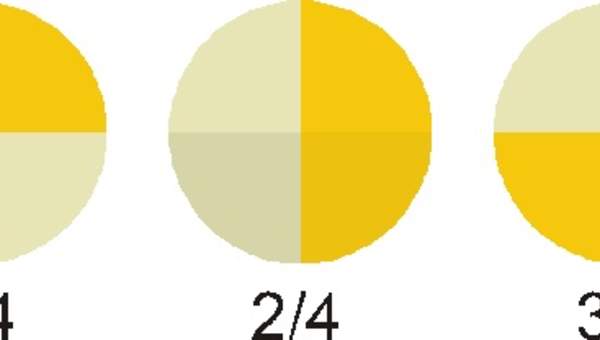Ejemplo de fracciones con denominador cuatro de forma pictórica y simbólica Ejemplo de fracciones con denominador cuatro de forma pictórica y simbólica