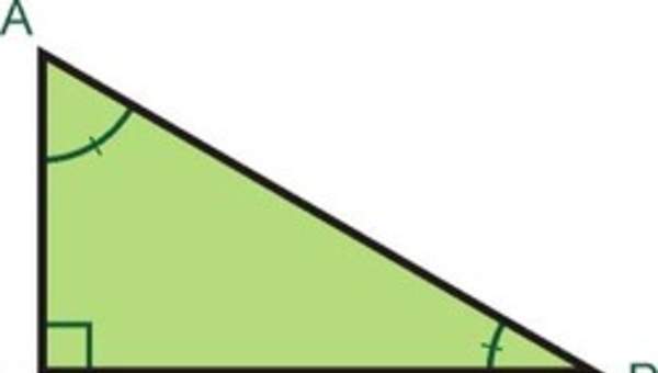 Triángulo rectángulo o recto Triángulo rectángulo o recto