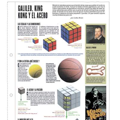 Galileo, King Kong y el acero Galileo, King Kong y el acero