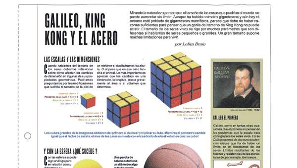 Galileo, King Kong y el acero Galileo, King Kong y el acero