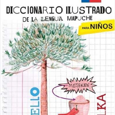 Diccionario Mapuche Diccionario Mapuche