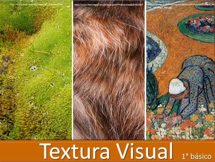 Textura Visual Textura Visual