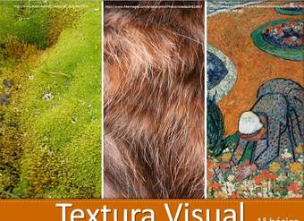 Textura Visual Textura Visual