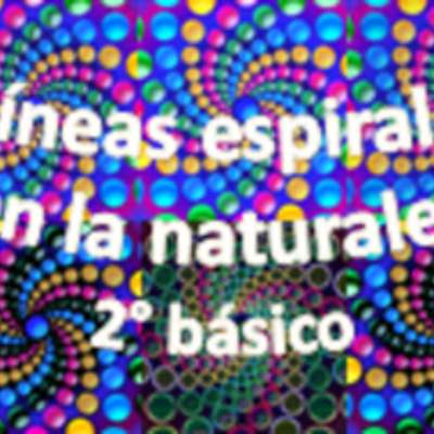 Líneas espirales en la naturaleza Líneas espirales en la naturaleza