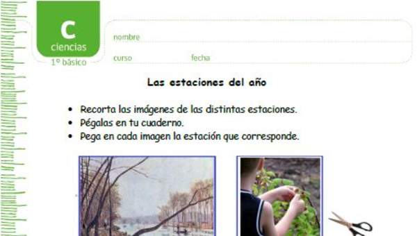 Las estaciones del año Las estaciones del año