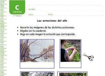 Las estaciones del año Las estaciones del año