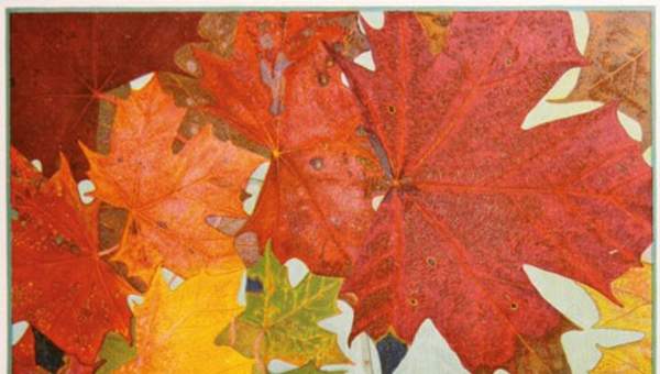 Hojas de otoño 2 Hojas de otoño 2
