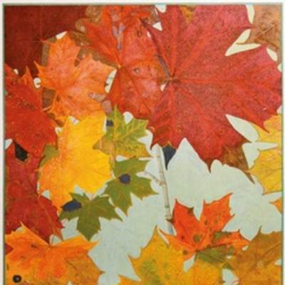Hojas de otoño 2 Hojas de otoño 2