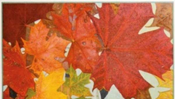 Hojas de otoño 2 Hojas de otoño 2