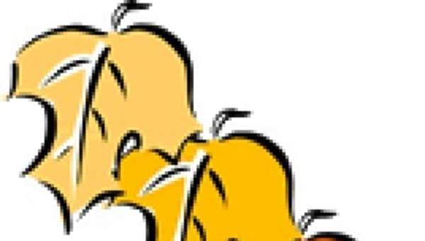 Hojas de otoño Hojas de otoño