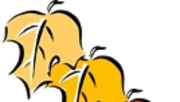 Hojas de otoño Hojas de otoño