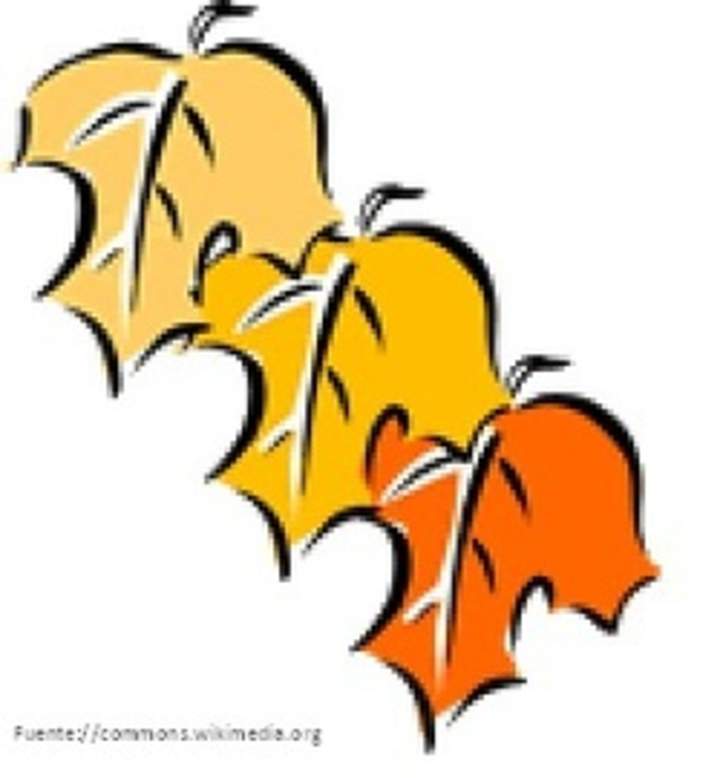 Hojas de otoño Hojas de otoño