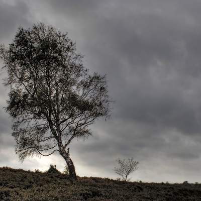 Paisaje de invierno 2 Paisaje de invierno 2