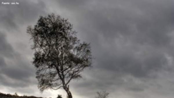 Paisaje de invierno 2 Paisaje de invierno 2