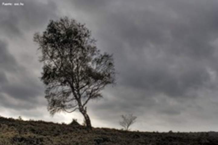 Paisaje de invierno 2 Paisaje de invierno 2