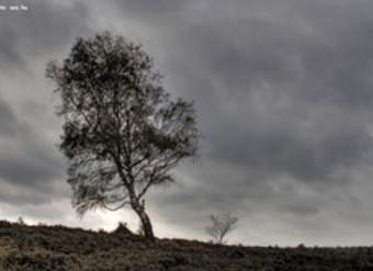 Paisaje de invierno 2 Paisaje de invierno 2