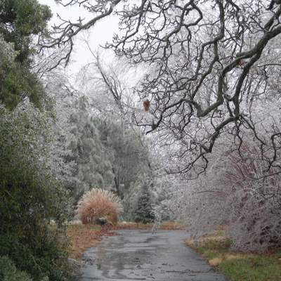 Paisaje de invierno 3 Paisaje de invierno 3