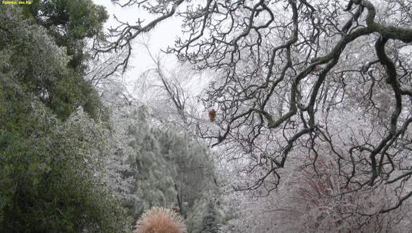 Paisaje de invierno 3 Paisaje de invierno 3