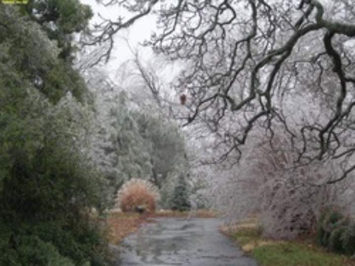 Paisaje de invierno 3 Paisaje de invierno 3