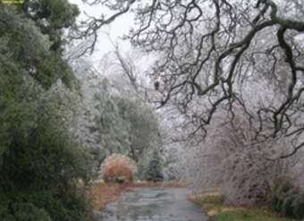 Paisaje de invierno 3 Paisaje de invierno 3