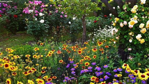 Paisaje de primavera Paisaje de primavera