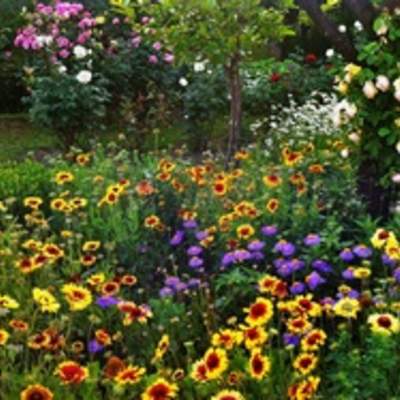 Paisaje de primavera Paisaje de primavera