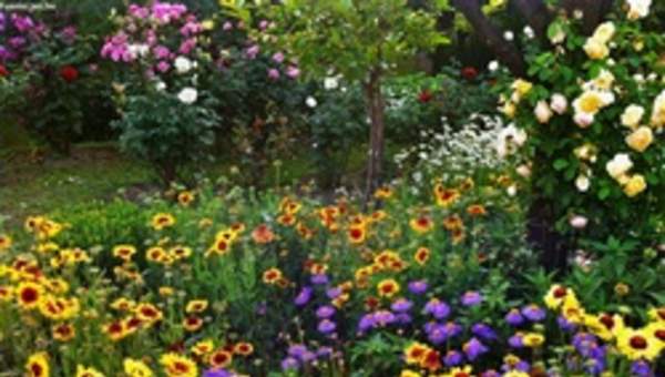 Paisaje de primavera Paisaje de primavera