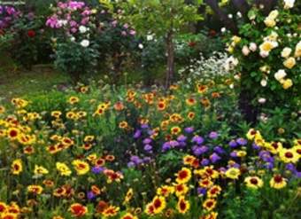 Paisaje de primavera Paisaje de primavera