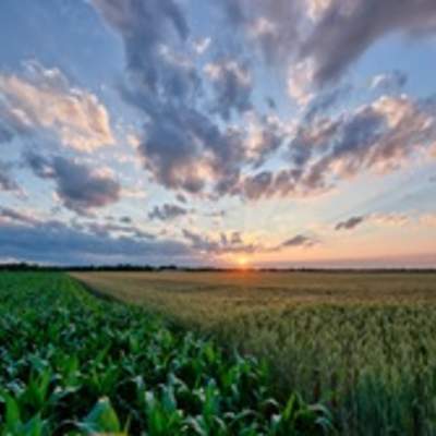 Paisaje de verano Paisaje de verano